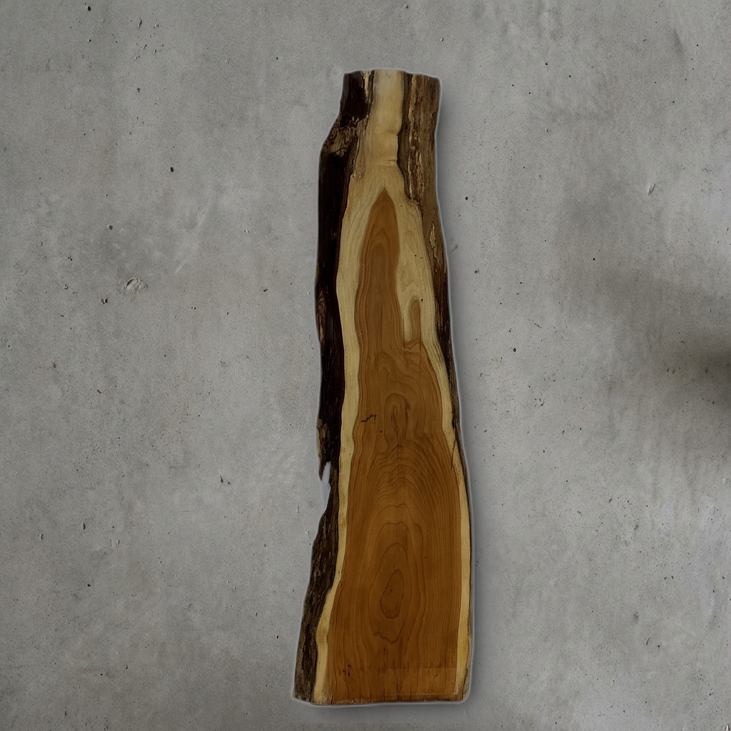 イチイ No.04 — 170 mm x 605 mm x 20 mm