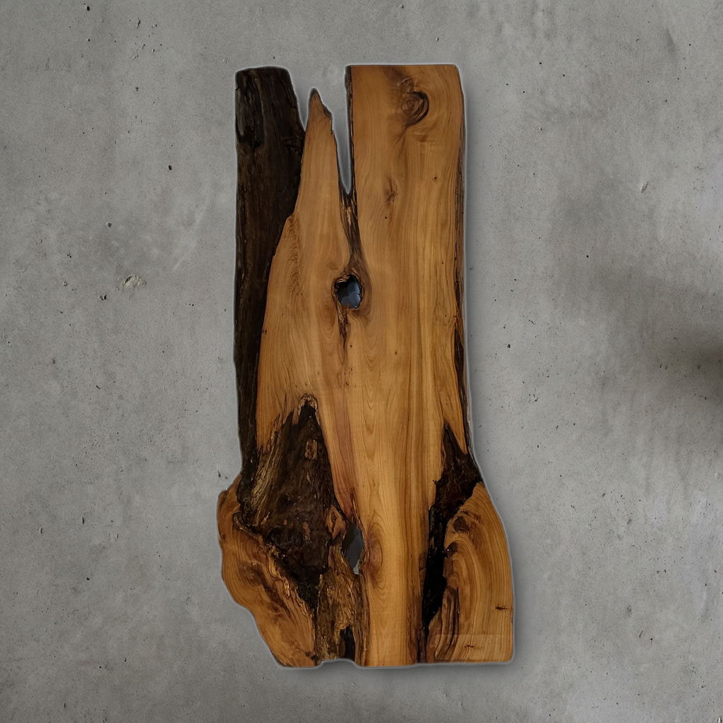 イチイ No.05 — 240 mm x 590 mm x 20 mm