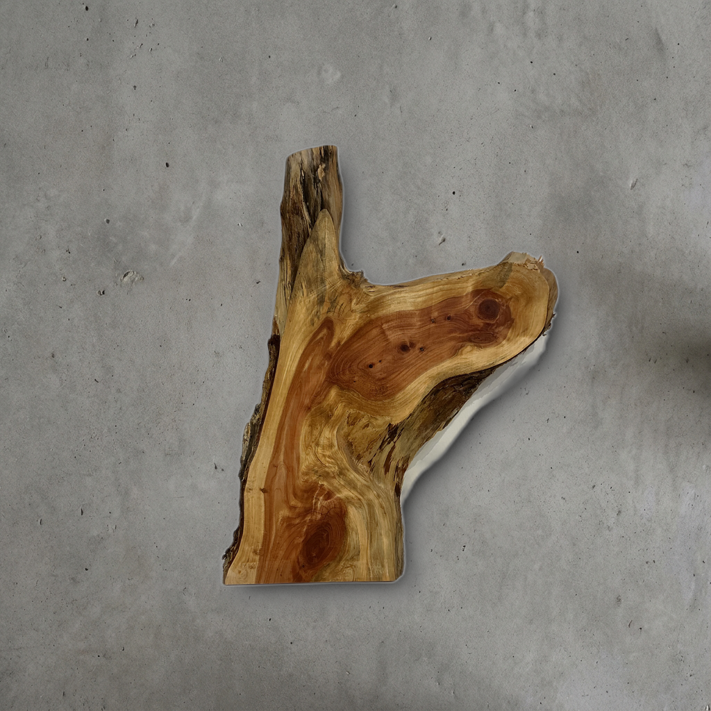 カイヅカイブキ No.02 — 310 mm x 480 mm x 23 mm