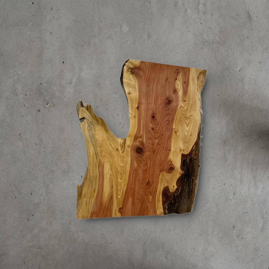 カイヅカイブキ No.03 — 330 mm x 410 mm x 23 mm