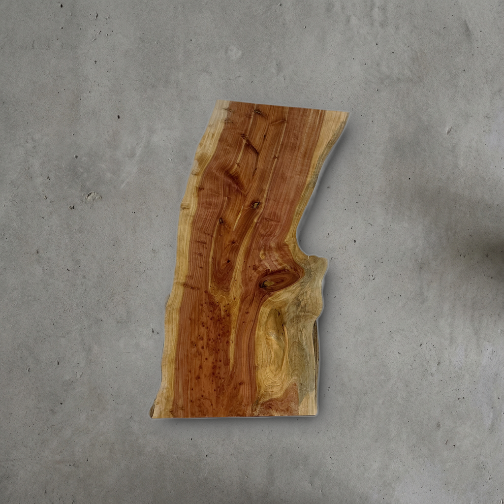 カイヅカイブキ No.05 — 270 mm x 400 mm x 23 mm