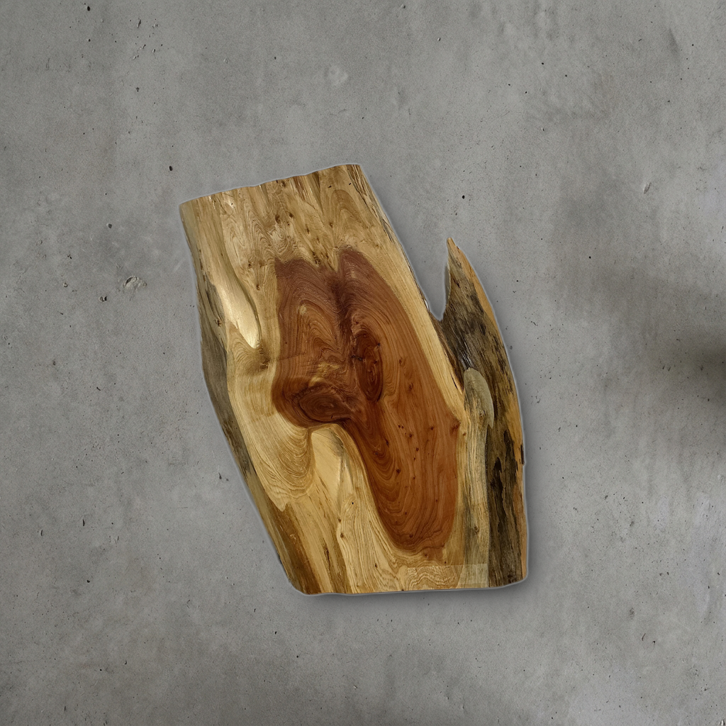 カイヅカイブキ No.08 — 275 mm x 405 mm x 23 mm