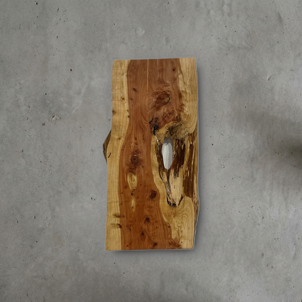 カイヅカイブキ No.10 — 210 mm x 405 mm x 22 mm