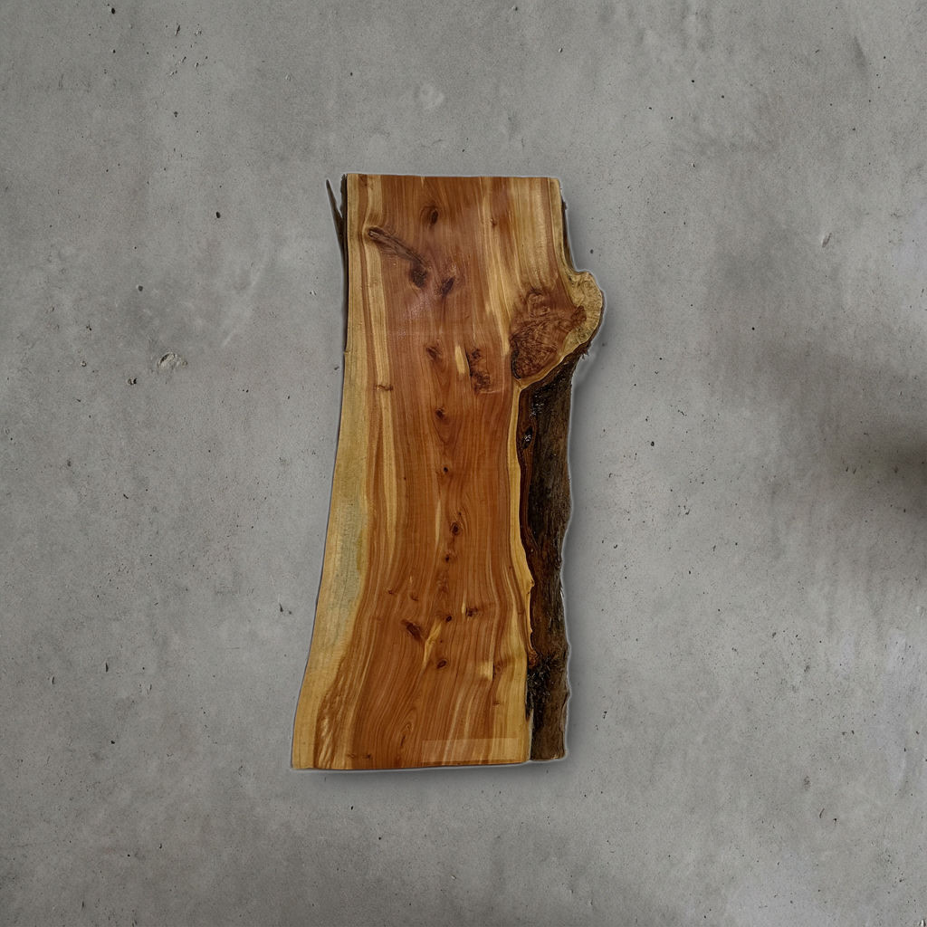 カイヅカイブキ No.13 — 230 mm x 490 mm x 22 mm