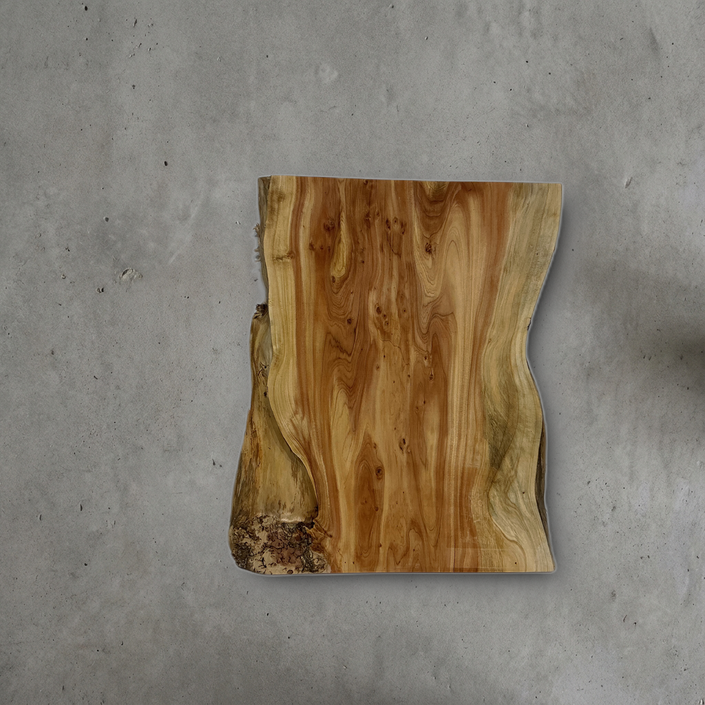 カイヅカイブキ No.21 — 300 mm x 350 mm x 20 mm