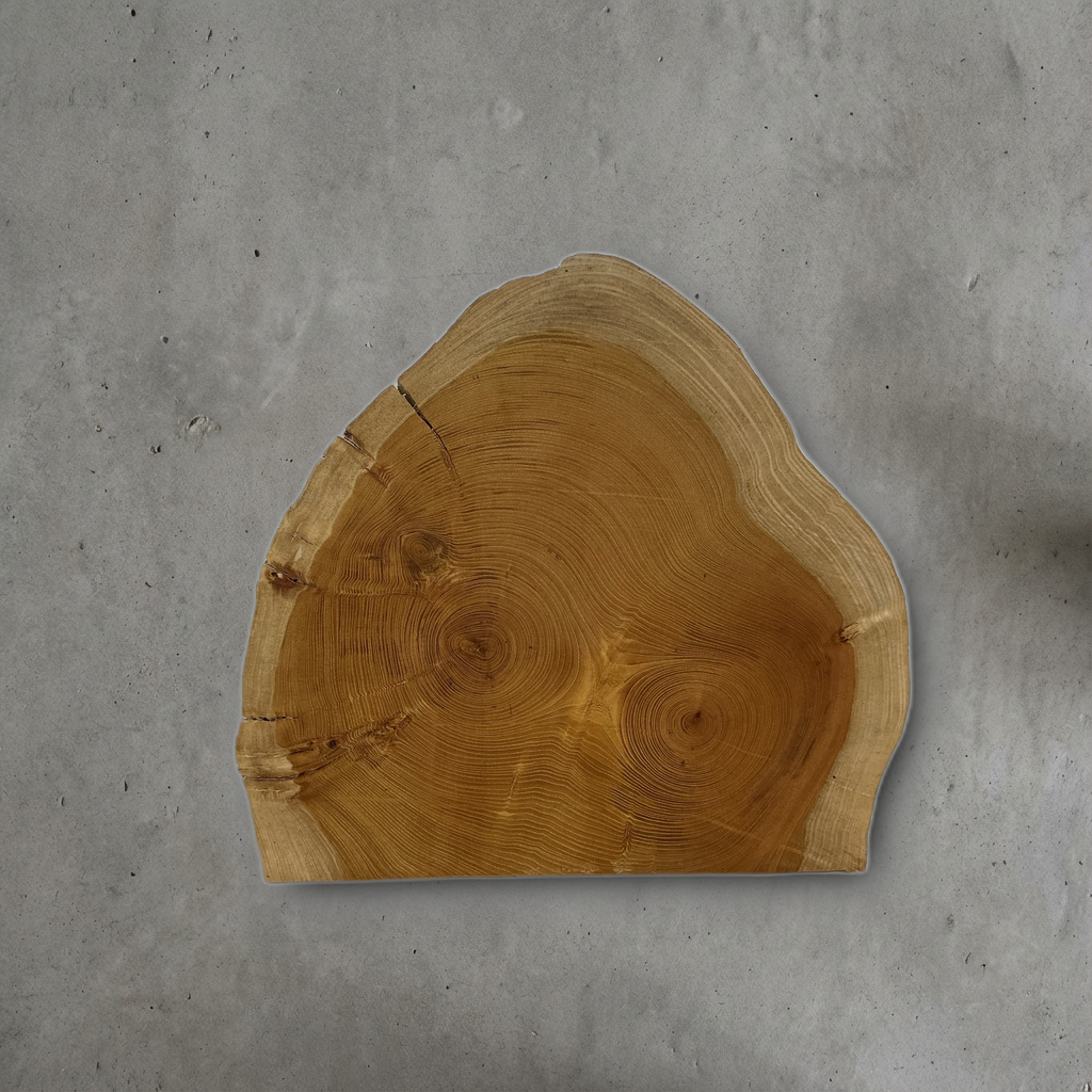 ケヤキ No.09 — 410 mm x 370 mm x 25 mm