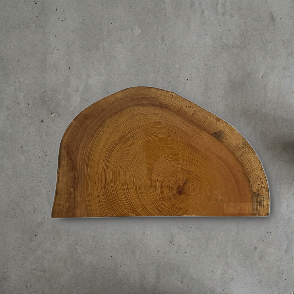 ケヤキ No.11 — 400 mm x 235 mm x 25 mm