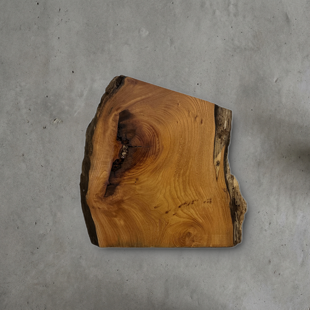 ケヤキ No.18 — 310 mm x 310 mm x 25 mm