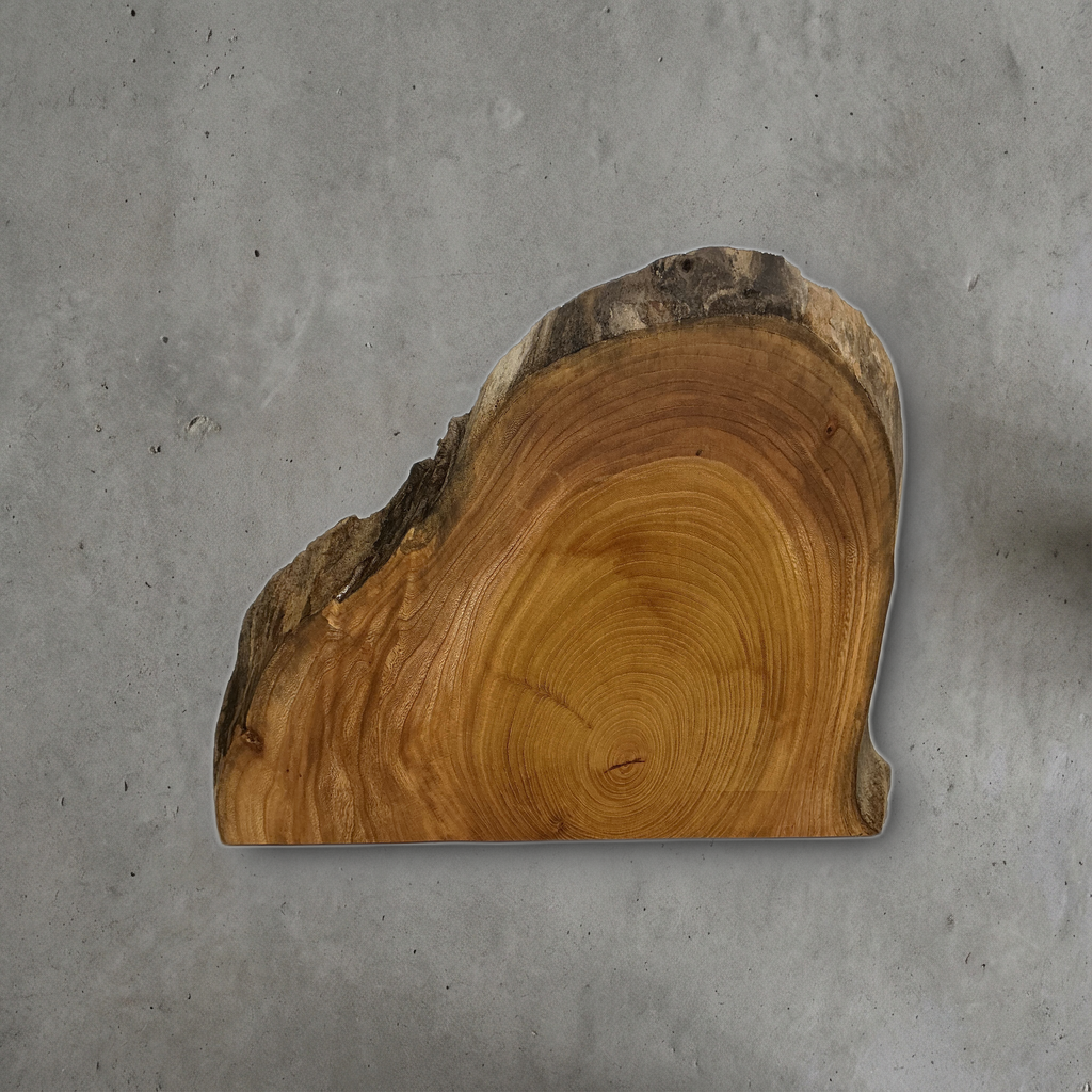 ケヤキ No.19 — 310 mm x 290 mm x 25 mm