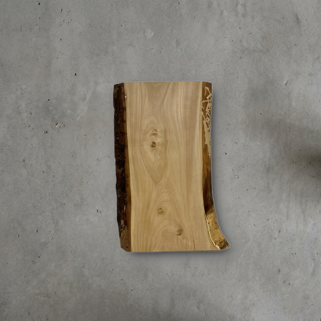 トチ No.17 — 270 mm x 395 mm x 26 mm