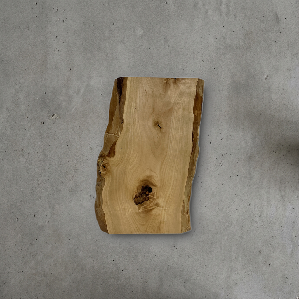 トチ No.19 — 260 mm x 400 mm x 24 mm