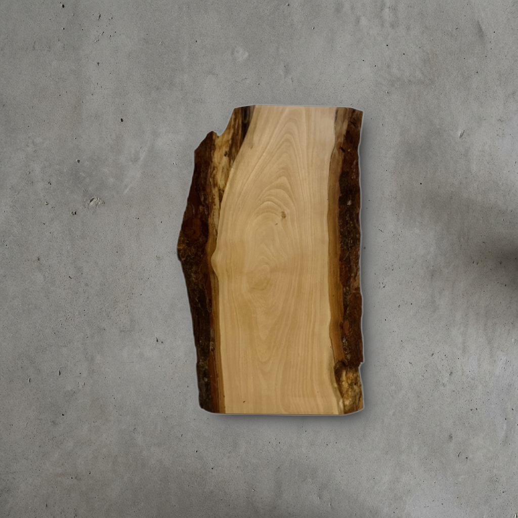 トチ No.22 — 270 mm x 430 mm x 20 mm