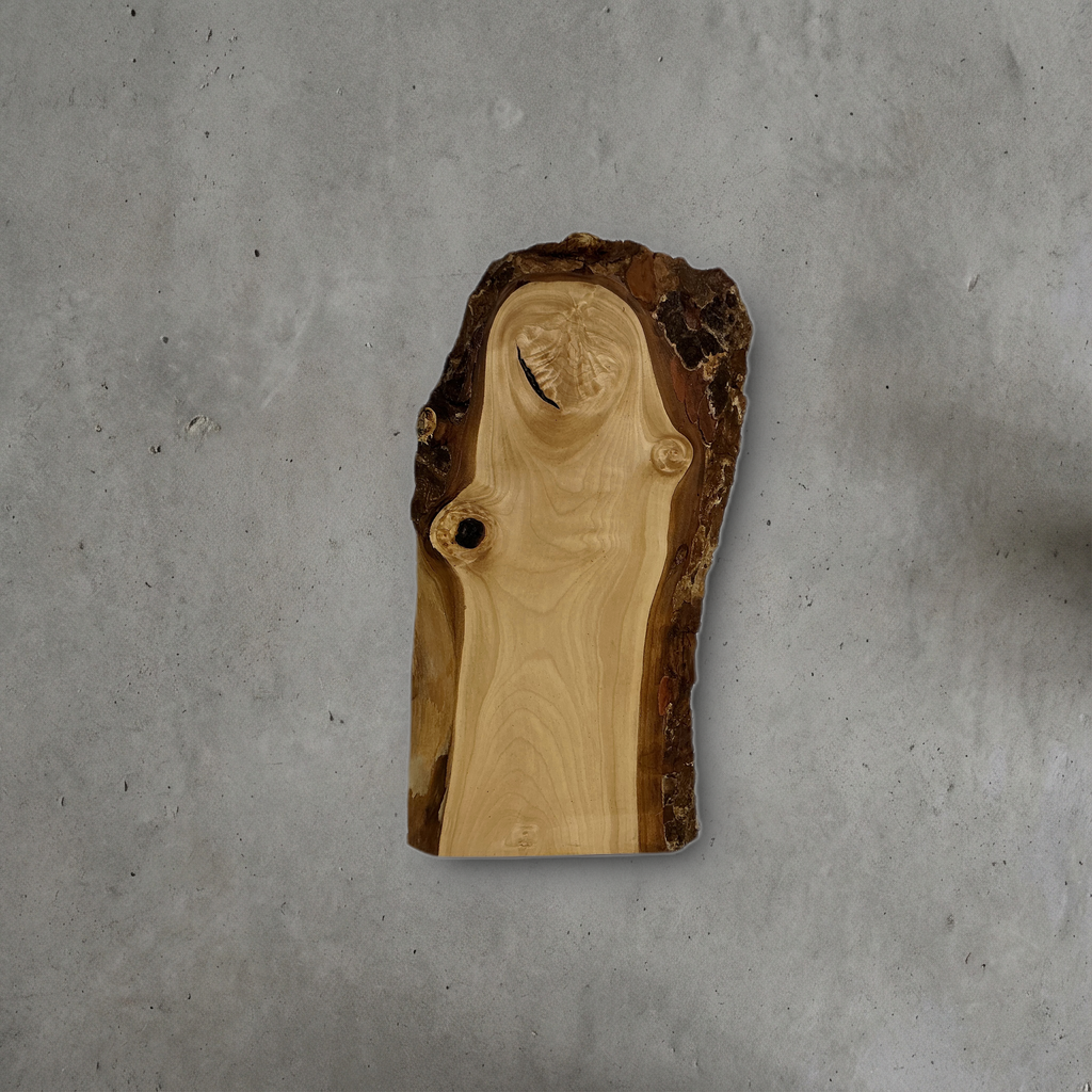 トチ No.42 — 220 mm x 420 mm x 20 mm