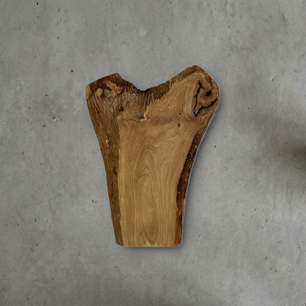 ホルトノキ No.01 — 450 mm x 600 mm x 25 mm