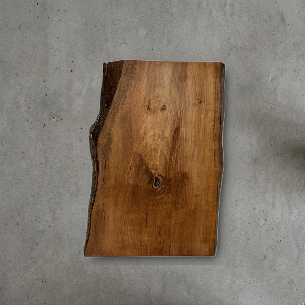 ヤマモモ No.22 — 270 mm x 360 mm x 26 mm