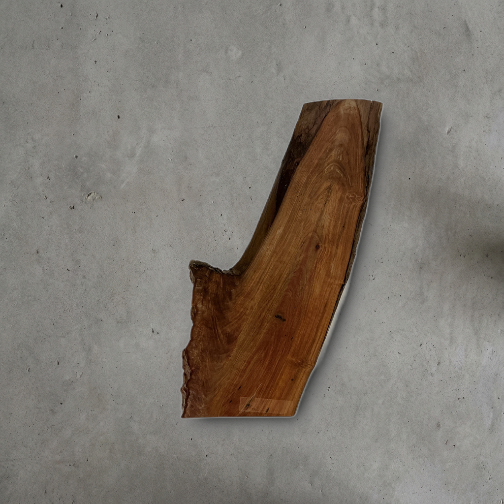 ヤマモモ No.31 — 200 mm x 450 mm x 20 mm